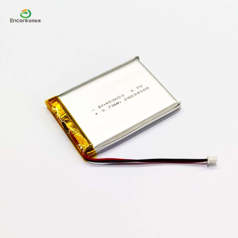 1000mAh 3.7V pil